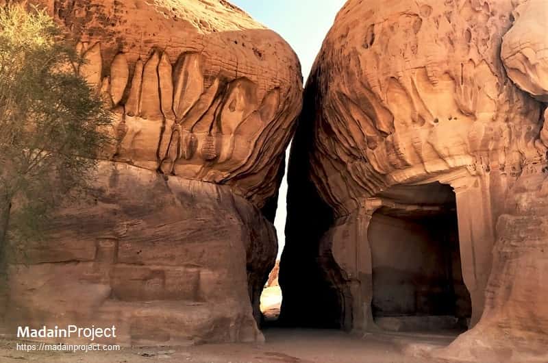 madain saleh tour from madinah